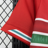 2026-27 Wales Home Fans Soccer Jersey