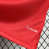 2026-27 Wales Home Fans Soccer Jersey
