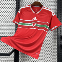 2026-27 Wales Home Fans Soccer Jersey