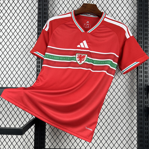 2026-27 Wales Home Fans Soccer Jersey