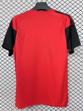 2026-27 Colo-Colo Red Training shirts (圆领)