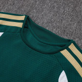 2026-27 Italy Green Player Version Training Short Suit (球员短套装)#D2603