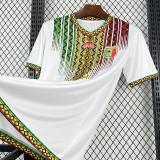 2026-27 Mali Home Fans Soccer Jersey (吊花图)