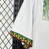 2026-27 Mali Home Fans Soccer Jersey (吊花图)