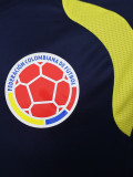 2026-27 Colombia Royal blue Player Version Training shirts
