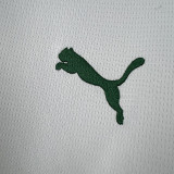 2026-27 Palmeiras Away 1:1 Fans Soccer Jersey
