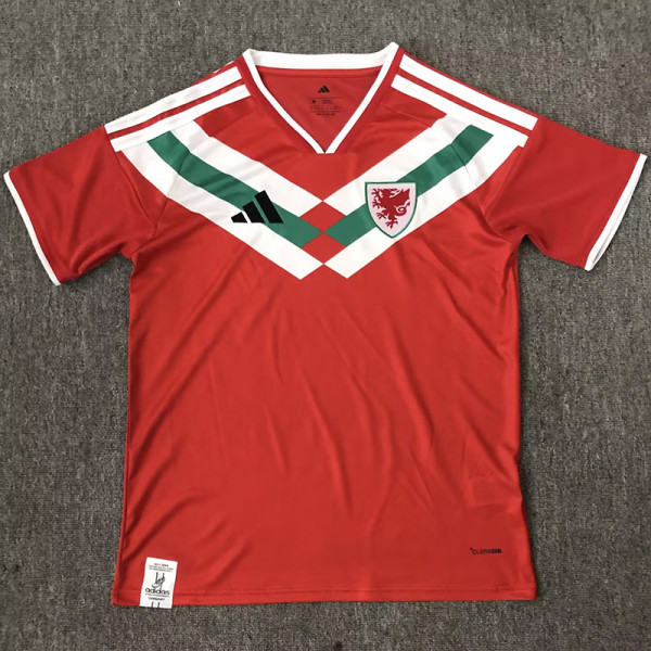 2026-27 Wales Red Special Edition Fans Soccer Jersey