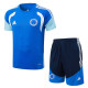 2026-27 Cruzeiro Fancy blue Training Short Suit #J26007