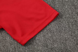 2026-27 LIV Red Polo Short shirts and Long trousers Suit