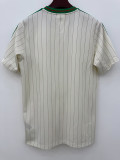 2026-27 Algeria White Casual Edition Fans Training shirts