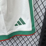 2026-27 Algeria Home Player Version Shorts Pants(球员短裤)