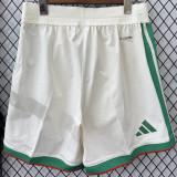 2026-27 Algeria Home Player Version Shorts Pants(球员短裤)