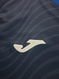 2025-26 Hoffenheim Home Fans Soccer Jersey