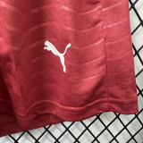2026-27 Portugal Home Player Version Shorts Pants(球员短裤)