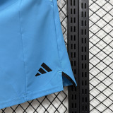 D334 AD Blue Casual Short Pants