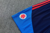 2026-27 Colombia Royal blue Training Short Suit