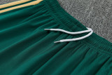 2026-27 Italy Green Training Short Suit