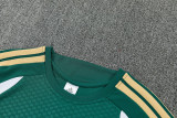 2026-27 Italy Green Training Short Suit