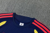 2026-27 Colombia Royal blue Training Short Suit