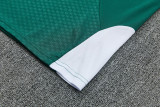 2026-27 Italy Green Training Short Suit