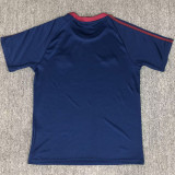 2025-26 Newcastle Royal blue Casual Edition Fans Training shirts