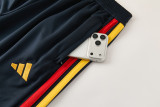 2026-27 Spain Royal blue Half Pull Tracksuit #01(半拉链)