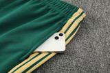 2026-27 Italy White Jacket Tracksuit