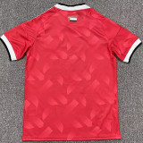 2026-27 United Arab Emirates Away Fans Soccer Jersey