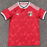 2026-27 United Arab Emirates Away Fans Soccer Jersey