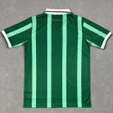 2025-26 Aston Villa Green Special Edition Fans Soccer Jersey
