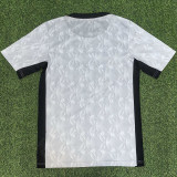 2025-26 PSG Grey Fans Training shirts