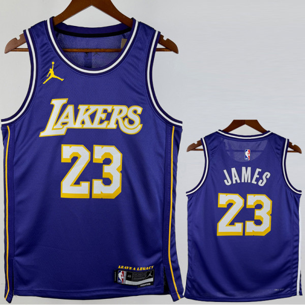 2025-26 Lakers JAMES #23 Purple Top Quality Hot Pressing NBA Jersey (Trapeze Edition) 飞人版