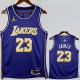 2025-26 Lakers JAMES #23 Purple Top Quality Hot Pressing NBA Jersey (Trapeze Edition) 飞人版