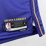 2025-26 Lakers JAMES #23 Purple Top Quality Hot Pressing NBA Jersey (Trapeze Edition) 飞人版