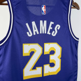 2025-26 Lakers JAMES #23 Purple Top Quality Hot Pressing NBA Jersey (Trapeze Edition) 飞人版