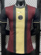 2025-26 PSG Brown Special Edition Player Version Training shirts