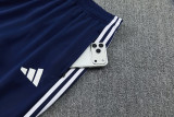 2026 AD Royal blue Jacket Tracksuit #2321