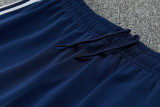 2026 AD Fancy blue Half Pull Tracksuit #814(半拉链)