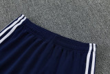 2026 AD Royal blue Jacket Tracksuit #2321