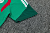 2026-27 Algeria Green Training Short Suit