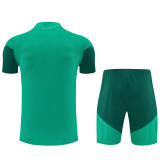 2026-27 Algeria Green Training Short Suit