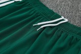 2026-27 Algeria Green Training Short Suit