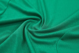 2026-27 Algeria Green Training Short Suit