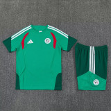 2026-27 Algeria Green Training Short Suit