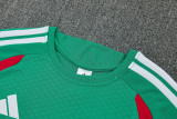 2026-27 Algeria Green Training Short Suit
