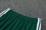 2026-27 Algeria Green Training Short Suit