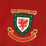 2026 Wales 150th Anniversary Long Sleeve Soccer Jersey (长袖)