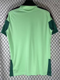 2026-27 Mexico Fluorescent Green Fans Training shirts