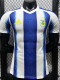 2026-27 Argentina Blue White Special Edition Player Version Training shirts (黄标)