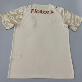 2026-27 Palmeiras Earthy yellow Training shirts